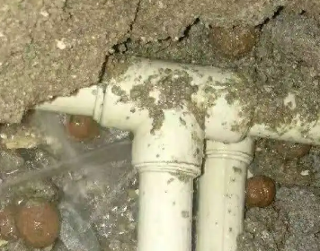 平和测漏水多少钱